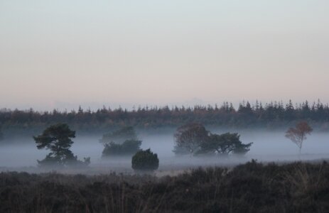 Presence Outdoor Veluwe in de ochtend