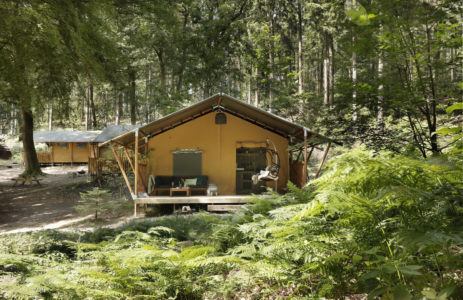 Lodgetent in het bos voor het leiderschap programma outdoor.