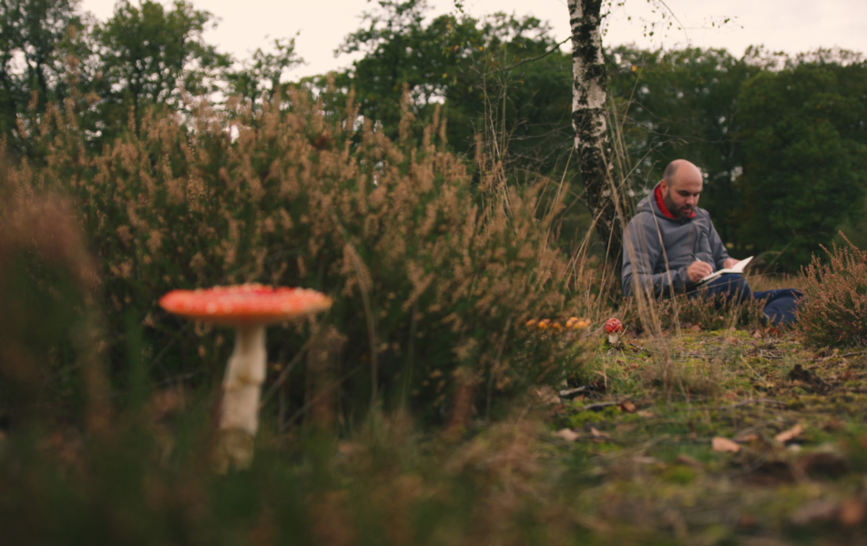 Een man zit in de natuur en leest een boek, met een paddenstoel op de voorgrond patronen doorbreken