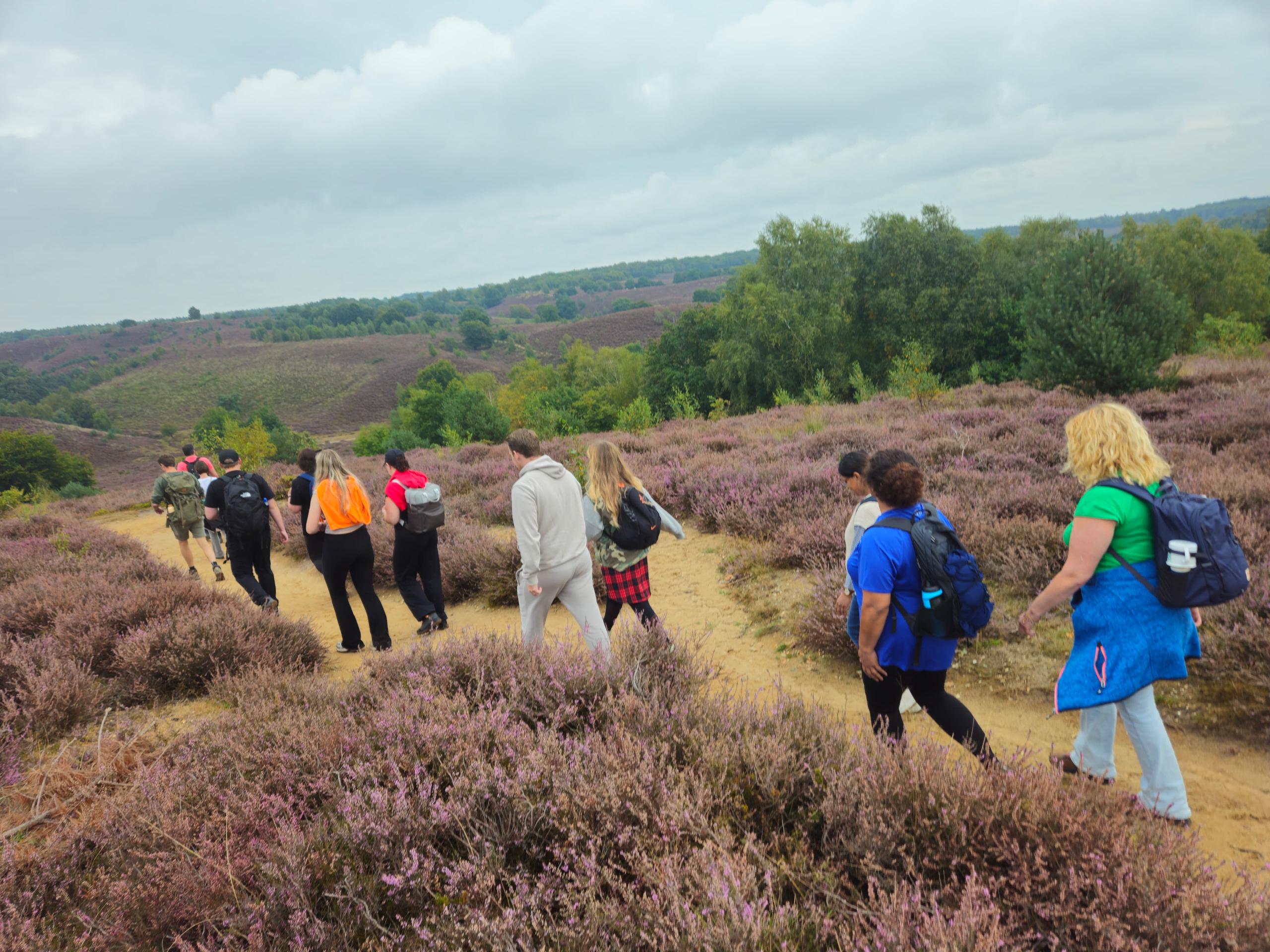 Team wandelt tijdens een incompany leiderschapstraining op de Veluwe door de bloeiende heide