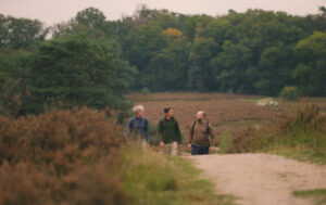 bosdag presence oudoor wandeling