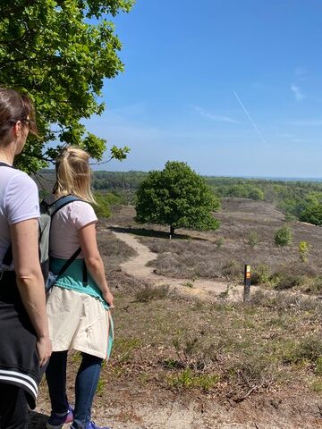 presence outdoor outdoor coach uitzicht